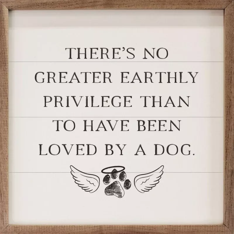 Loved By A Dog White
