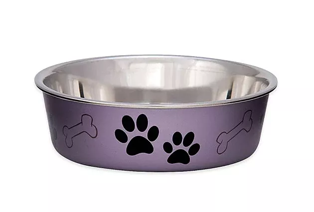 Loving Pets Metallic Grape Small