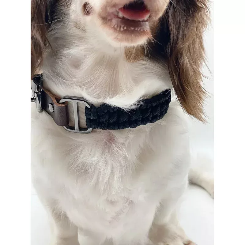 LUCEM // adjustable collar