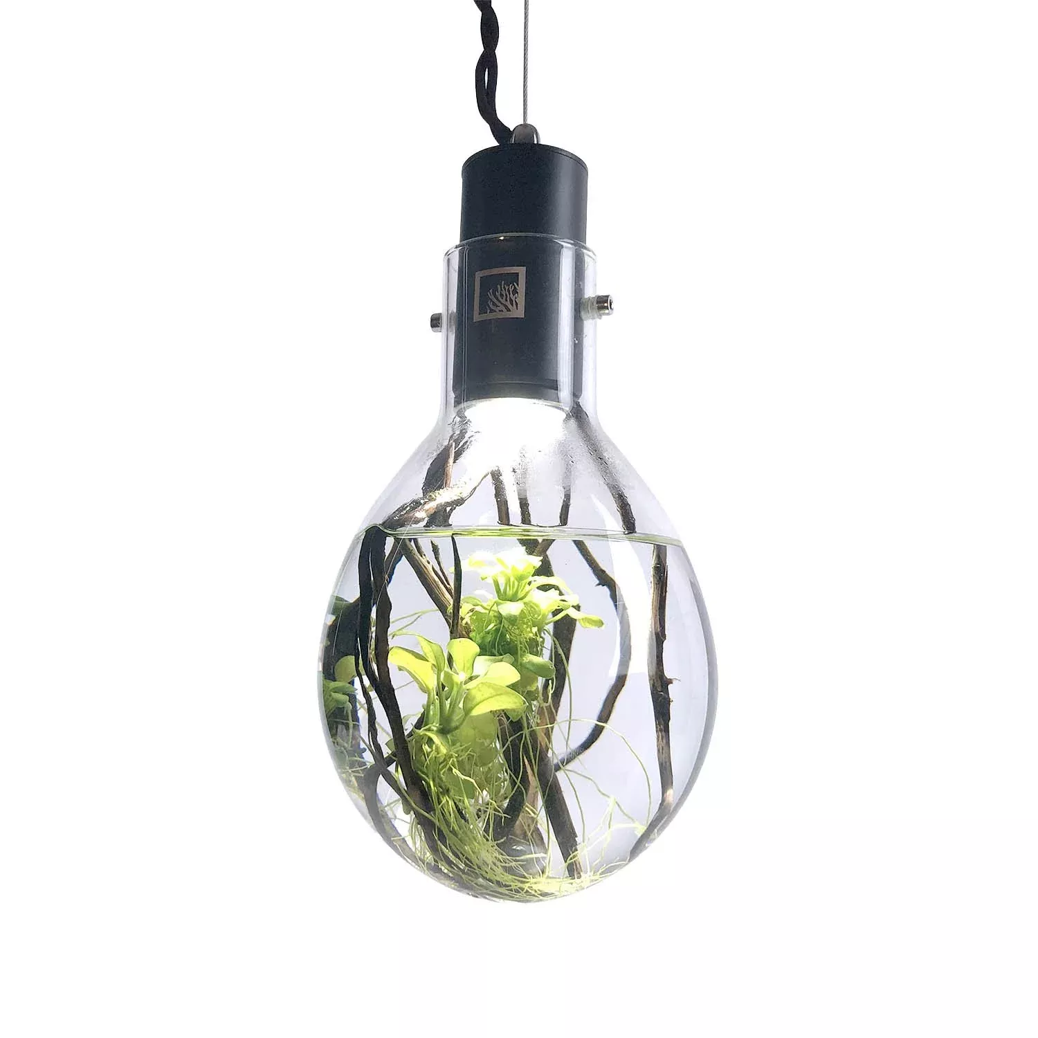 Luminarium Aquarium (With Décor Kit)