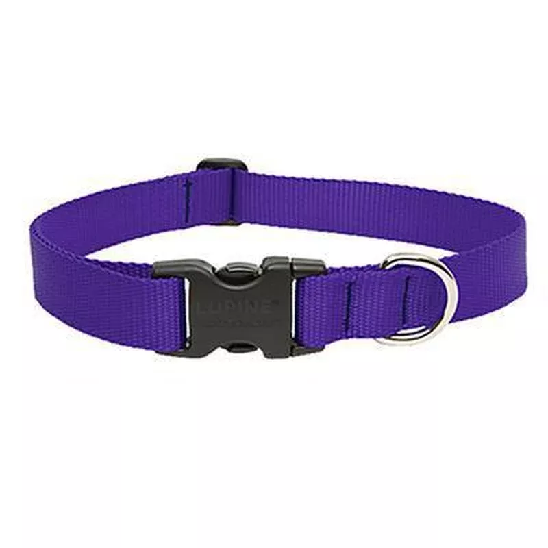 Lupine 3/4 Collar 9″-14″ Adj Purple