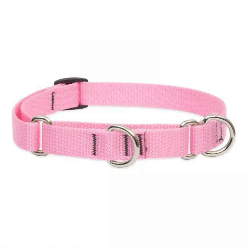Lupine 3/4″ Martingale Training Collar 10″ to 14″