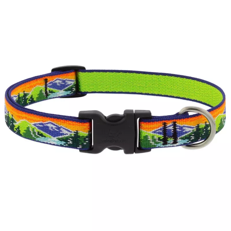Lupine Adjustable Dog Collar – Small 3/4″ x 9-14″ – High Country