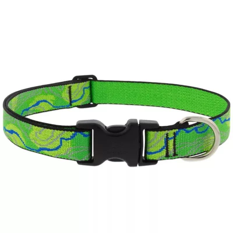 Lupine Adjustable Dog Collar – Small 3/4″ x 9-14″ – Intervale