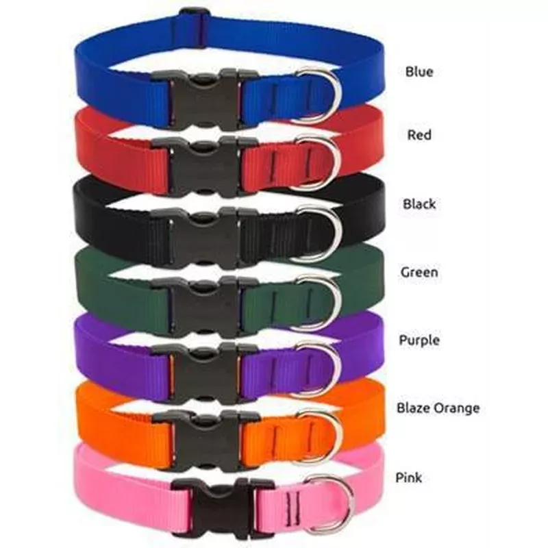 Lupine Basics 1/2 Adj Collar 6-9