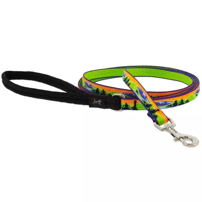 Lupine Dog Leash - 3/4" x 6' - Intervale