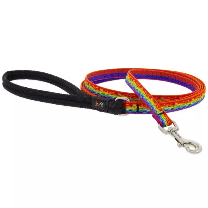 Lupine Dog Leash - 3/4" x 6'- Pixel Party