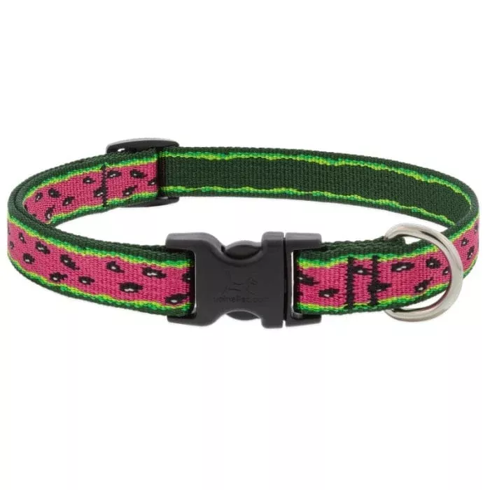 Lupine MicroBatch Safety Adjustable Dog Collar 3/4″ X 15-25″ Watermelon