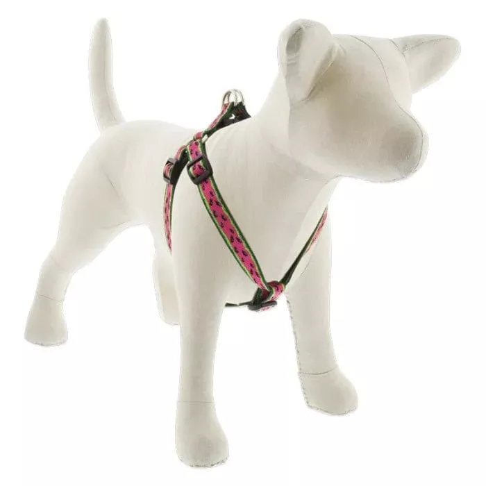Lupine MicroBatch Step In Dog Harness 3/4″ x 15″-21″ Watermelon