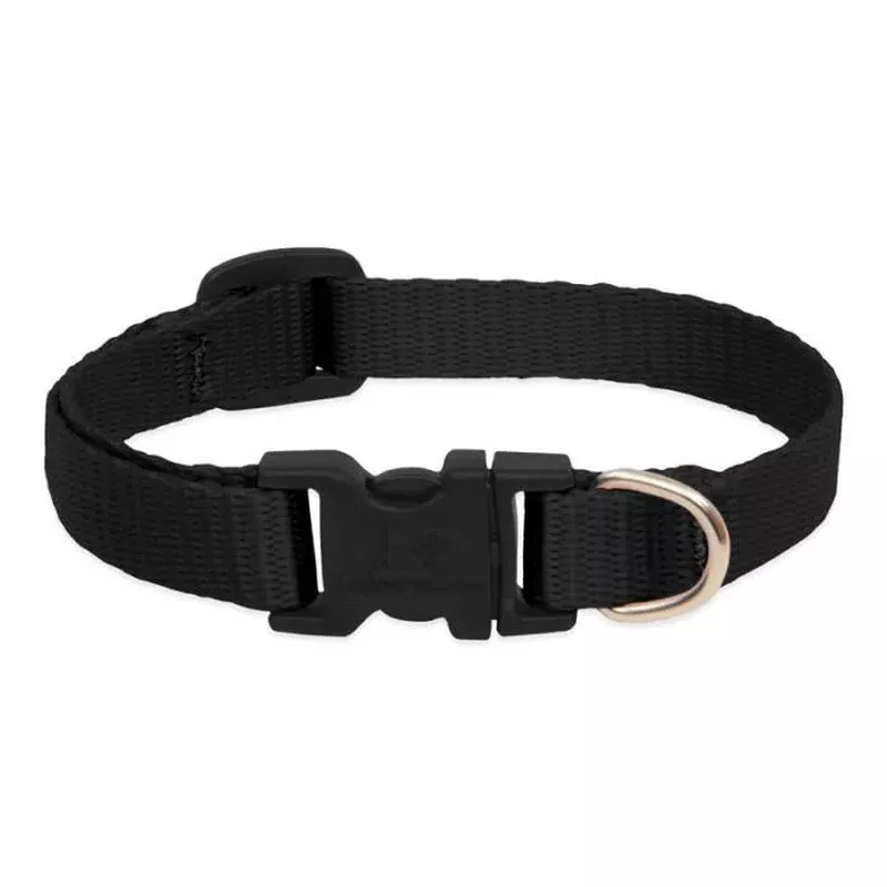 Lupine Pet – Black
