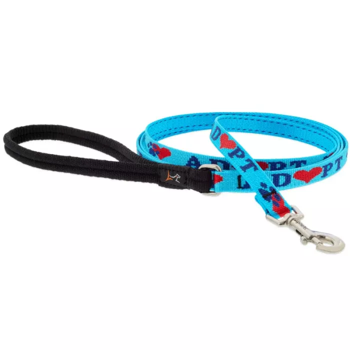 Lupine Pet Dog Leash - 1" x 6' - Adopt
