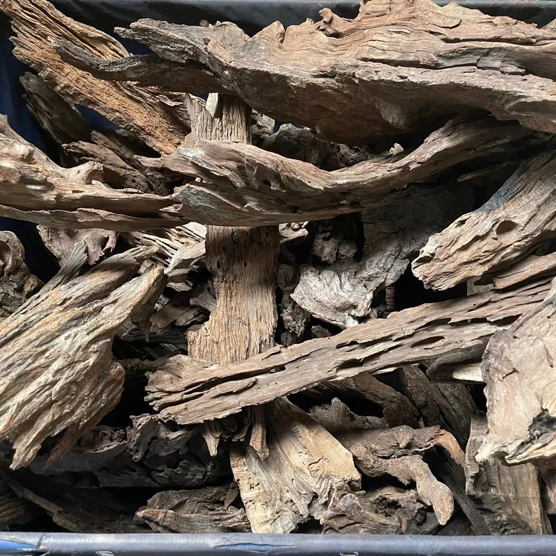 Malaysian Driftwood – Extra Large