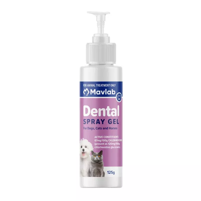 Mavlab Dental Spray Gel 125G