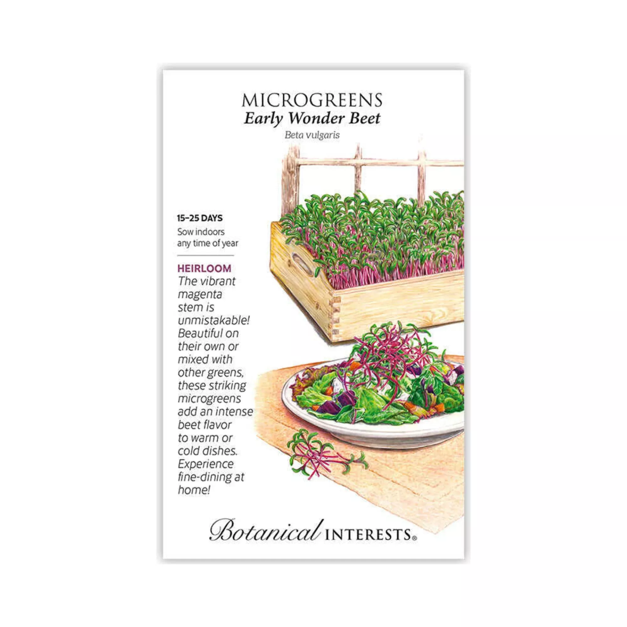 Microgreens Beet Early Wonder
