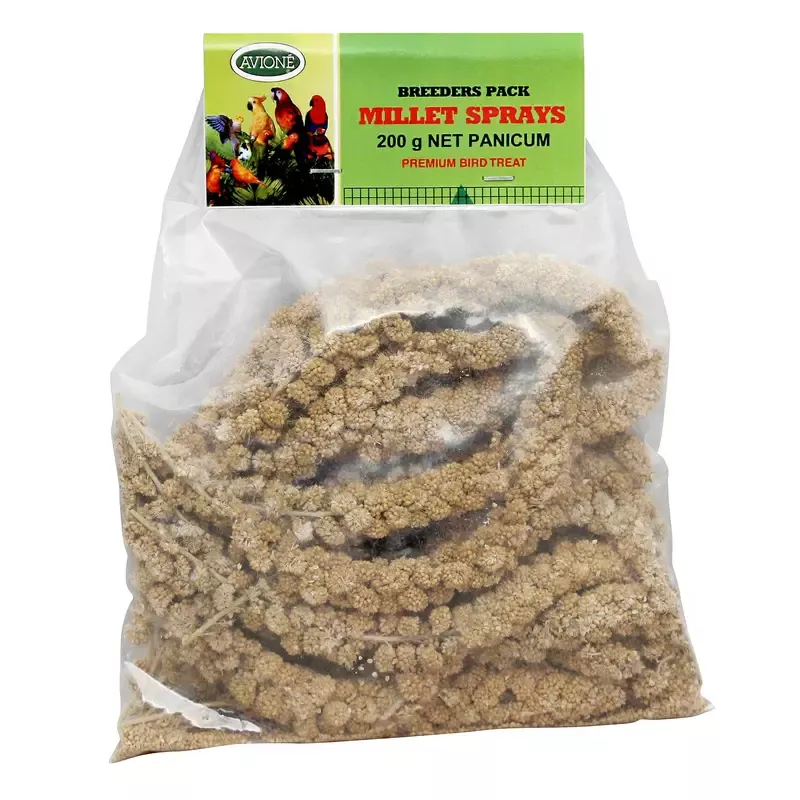 Millet Sprays – Panicum