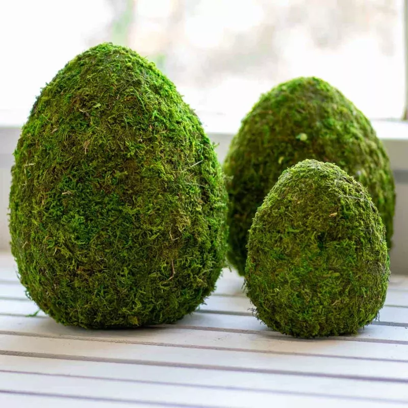 Moss Egg Decor Green|10&6.5&8|10&6.5&8