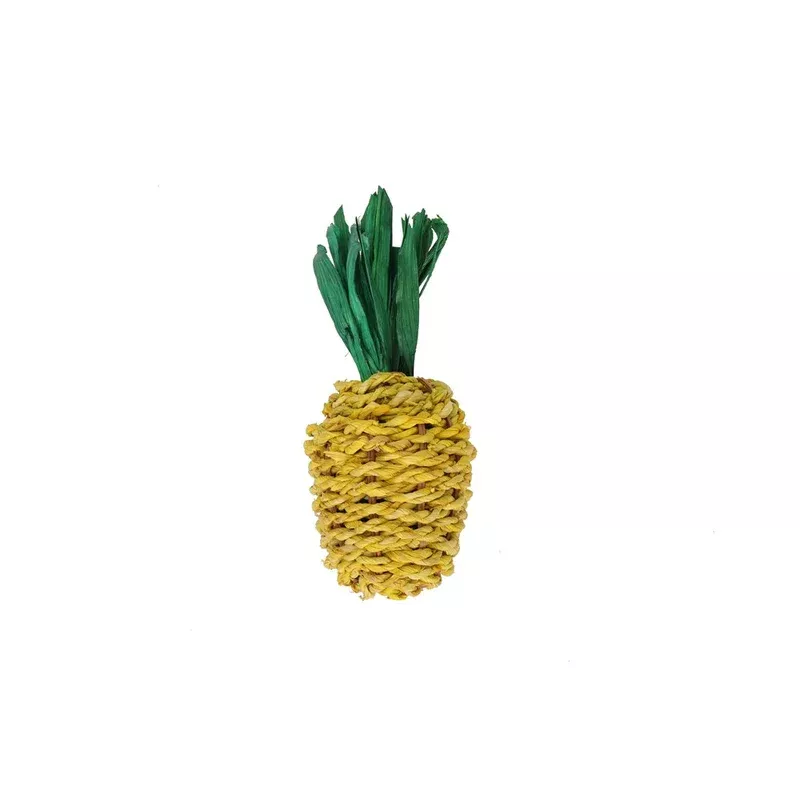 Nature Island Chew ‘n’ Play Pineapple