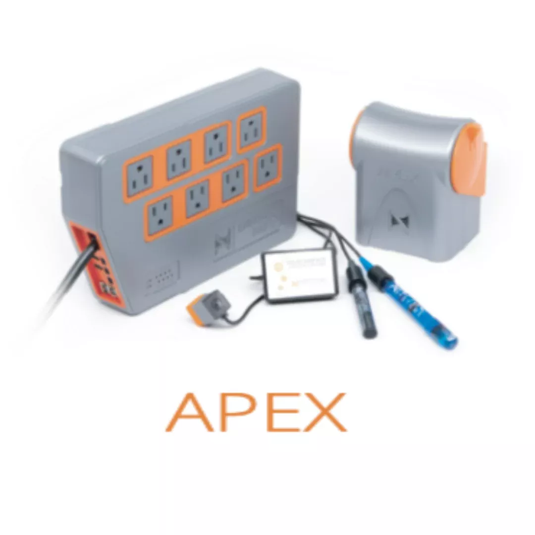 Neptune Systems Apex