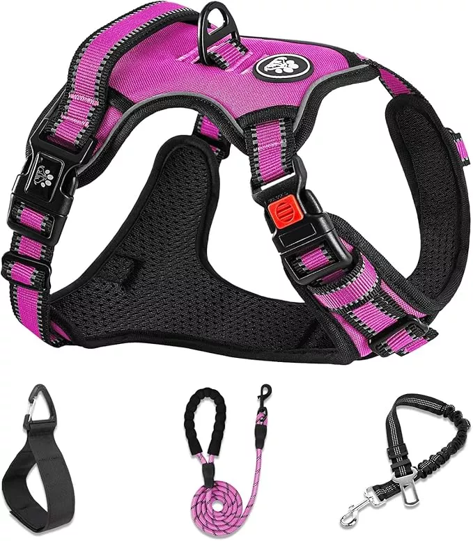 NESTROAD No Pull Dog Harness,Adjustable Oxford Dog Vest Harness with Leash,Reflective No-Choke Pet Harness with Easy Control Soft Handle for Large Dogs(X-Large,Purple)