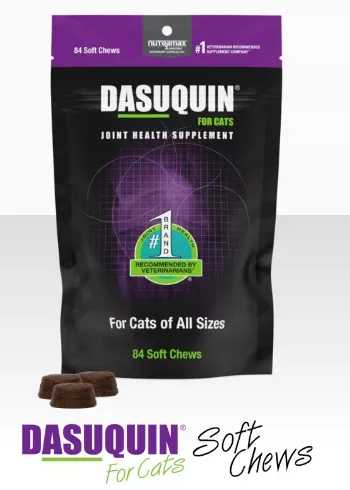 Nutramax Dasuquin Soft Chews for Cats