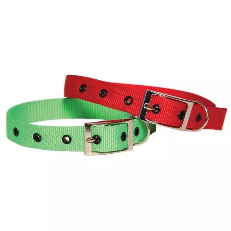 Nylon Collar 25 x 570mm – Black