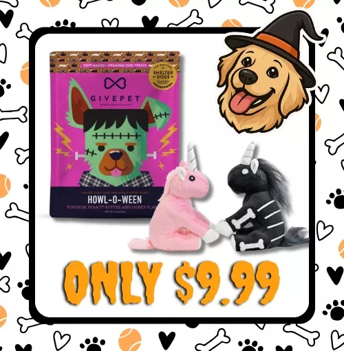 October Halloween Add On Bundle - Treat & Toy