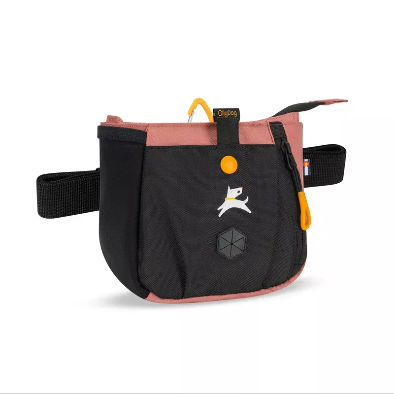 Olly Dog Backcountry Day Bag – Desert
