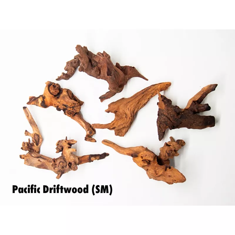 Pacific Driftwood (Dry)