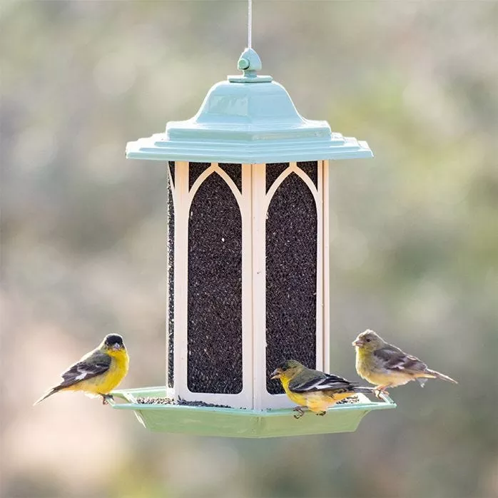 Perky-Pet Pistachio Gazebo Feeder
