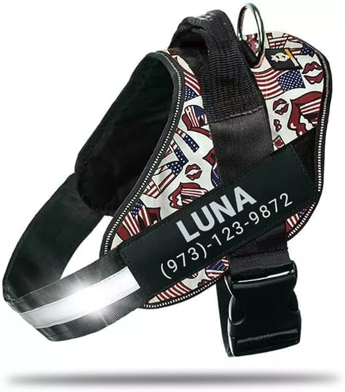 Personalized No-Pull Dog Harness with Name Patch, Adjustable, Reflective, Padded, Heavy Duty Pet Vest to Prevent Tugging, Pulling, or Choking, Training and Walking, Light Blue, S