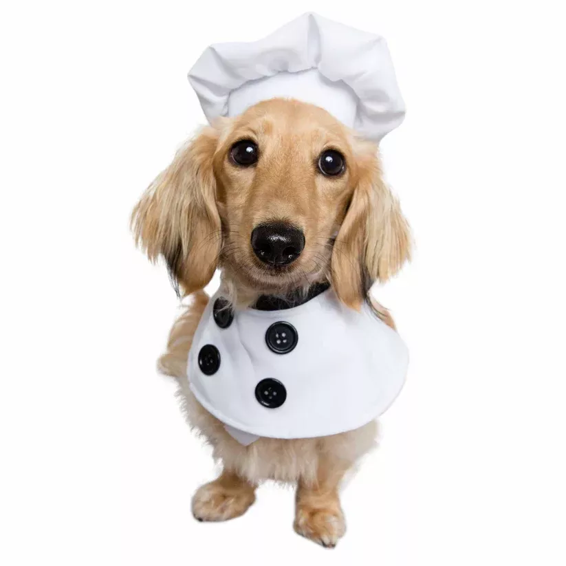 Pet Krewe Top Chef Uniform Costume For Dogs – Small/Medium