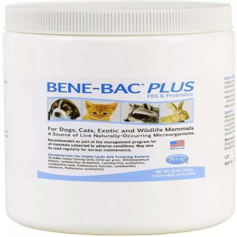 PetAg Bene-Bac Powder 1lb {L-1}202000 – Default Title