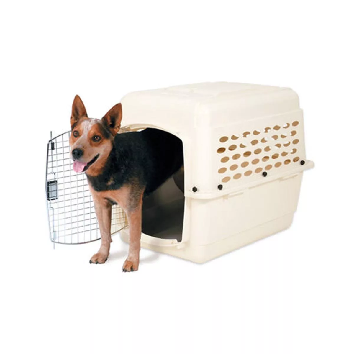PETMATE VARI KENNEL 32 30-50LB(WH)21948