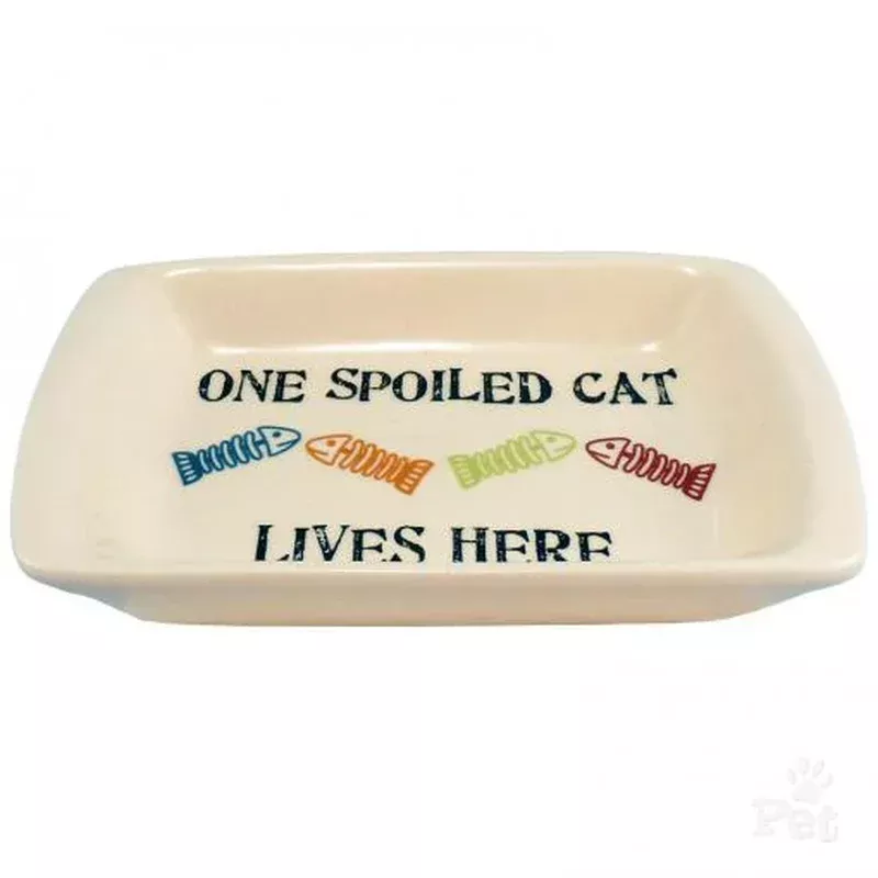 Petrageous One Spoiled Cat 5″ Rectangle Saucer