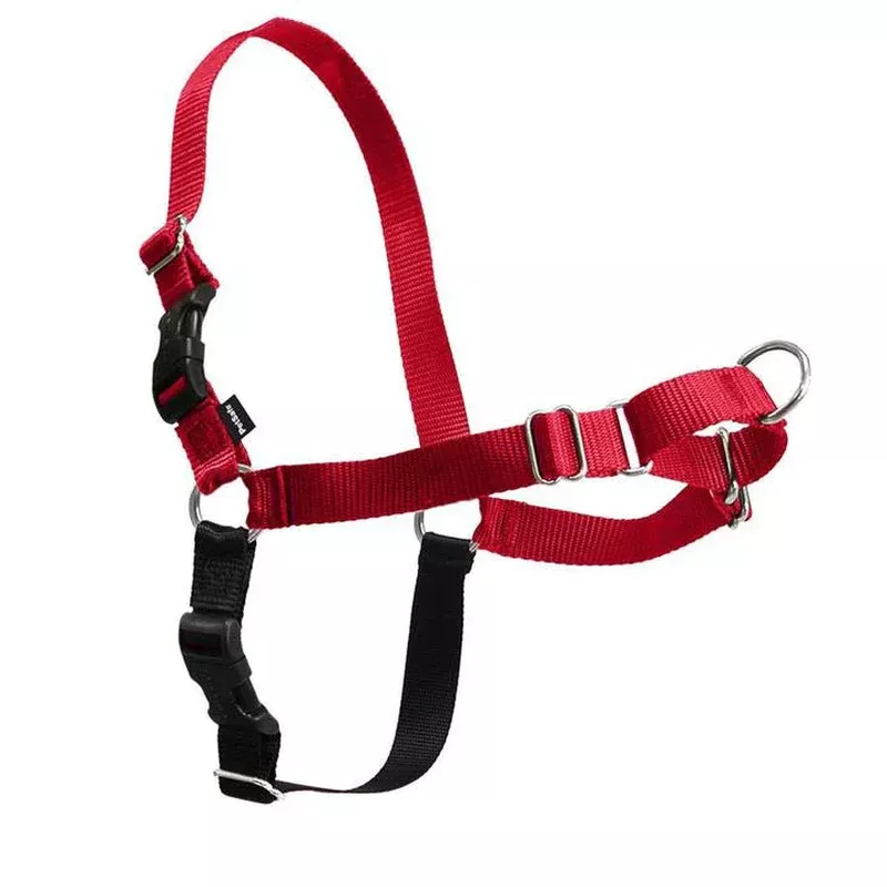 PetSafe Easy Walk Harness Red