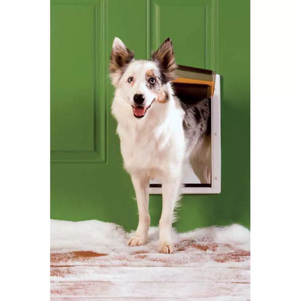 PetSafe Extreme Weather Pet Door Medium