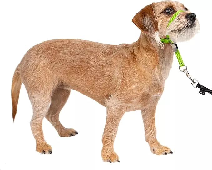 PetSafe Gentle Leader No-Pull Dog Headcollar – The Ultimate Solution to Pulling – Redirects Your Dog’s Pulling for Easier Walks – Helps You Regain Control – Small, Apple Green