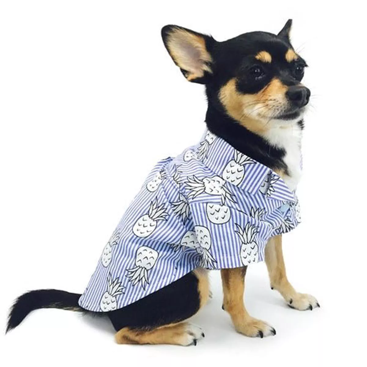 Pineapple Shirt in Blue