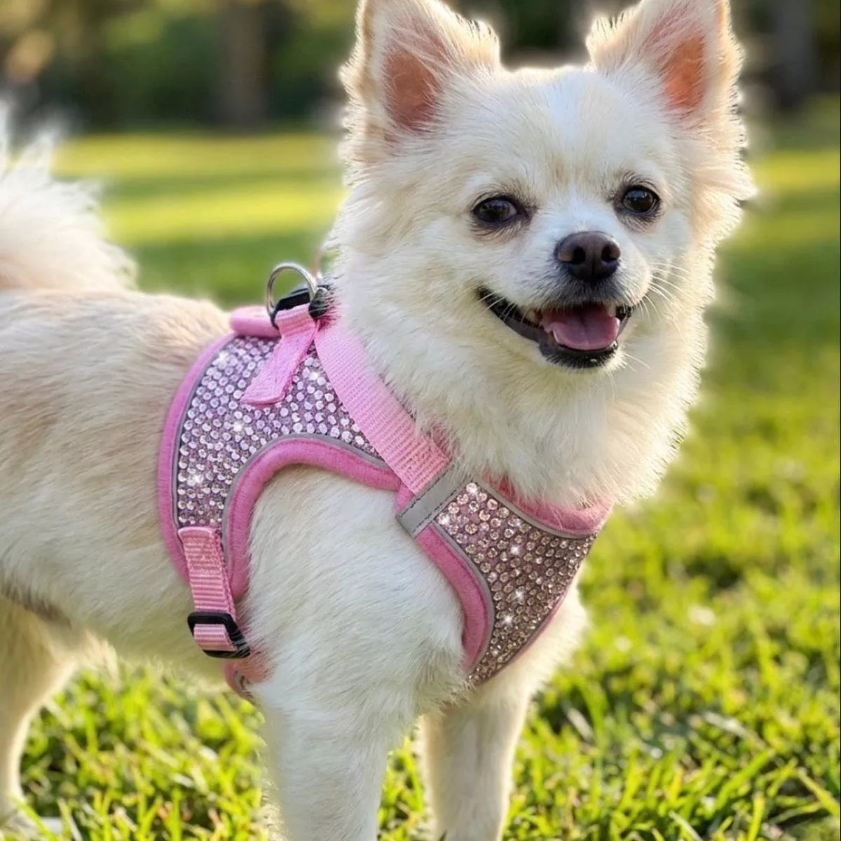 Pink Crystal Coat Harness