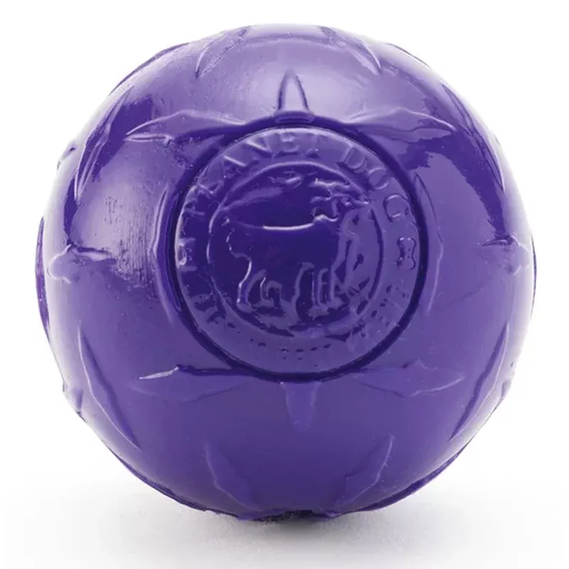 Planet Dog Diamond Plate Orbee Ball Purple