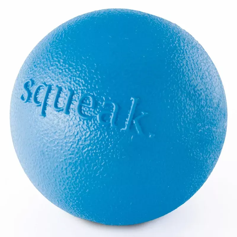 Planet Dog Orbee Tuff Squeak Ball