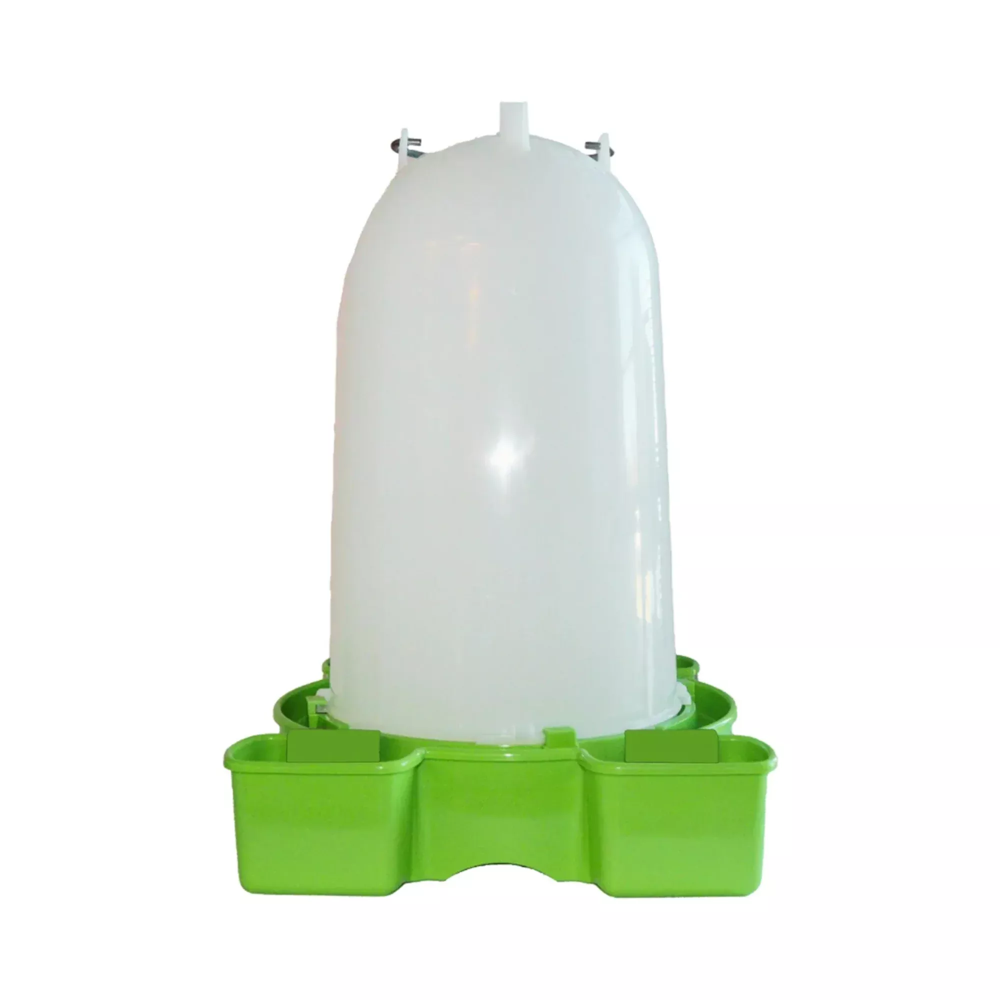 Plastic Duck Water