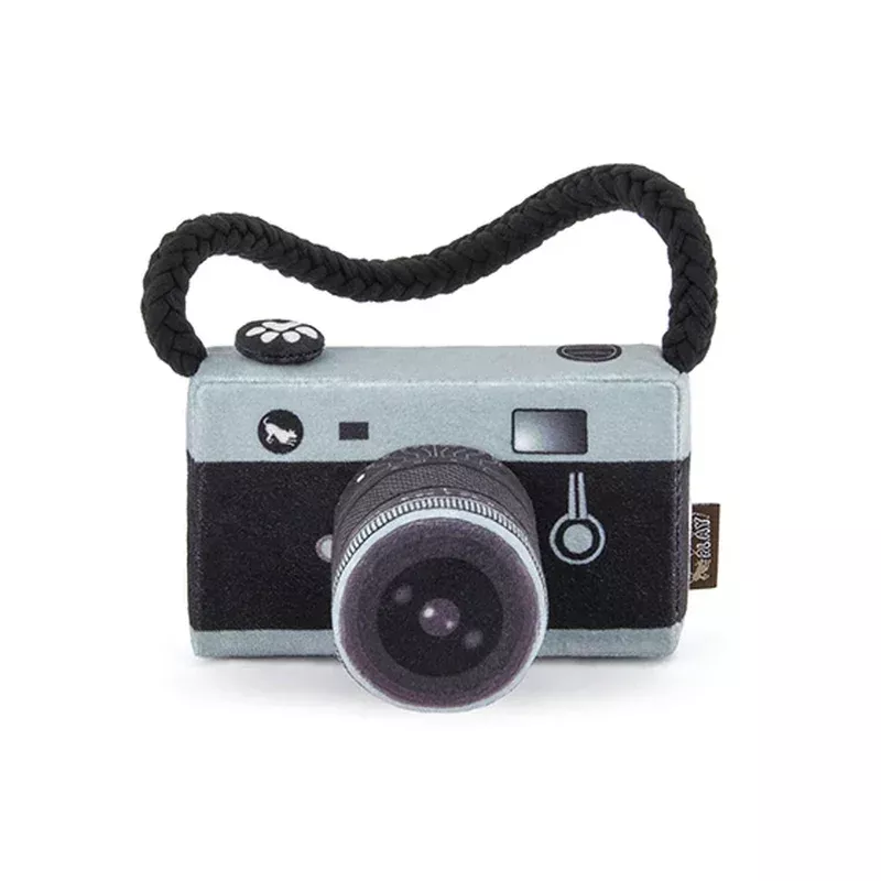 PLAY – Globetrotter Lens Licker Camera