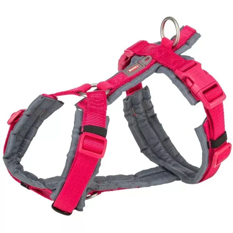 Premium trekking harness, fuchsia/graphite