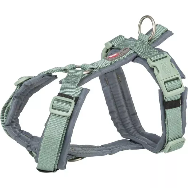 Premium trekking harness, sage/graphite
