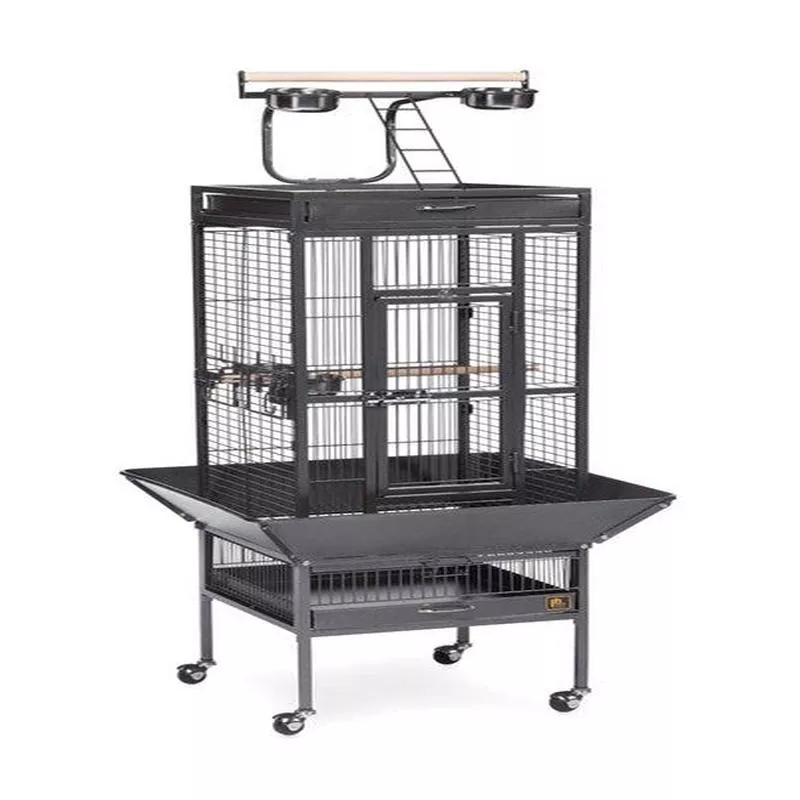 Prevue 3151 Select Series Wrought Iron Bird Cage Hammertone Black – Default Title