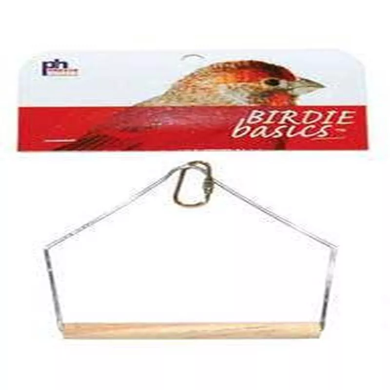 Prevue 388 Birdie Basics Swing 4×5″ {L+b}480628 – Default Title