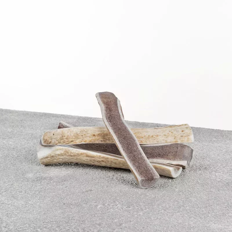 Primal Pet Foods Medium Elk Split Antler 6-7″