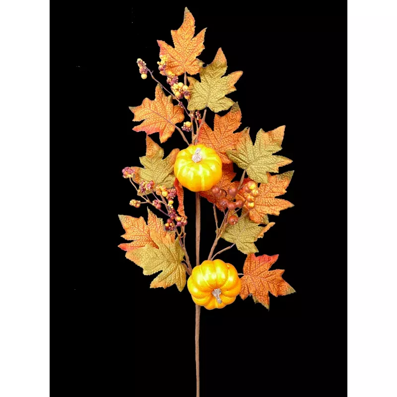 Pumpkin Berry Spray 28