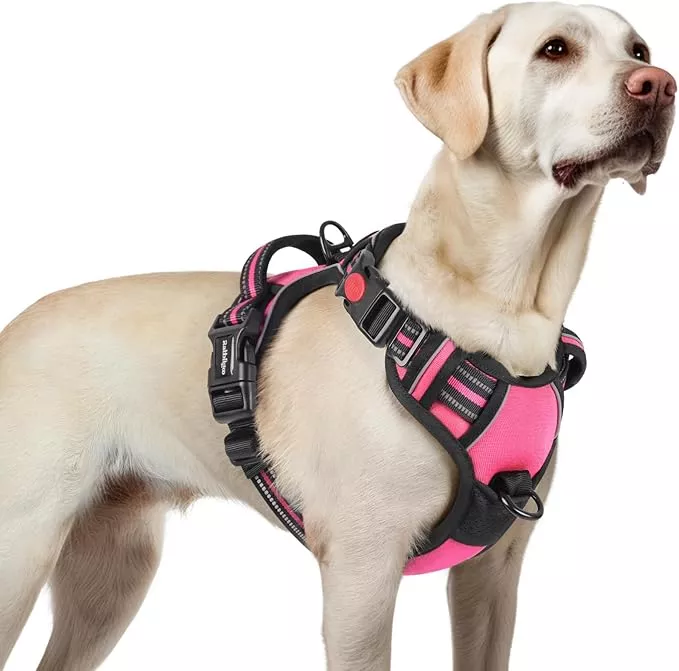 rabbitgoo Dog Harness for Large, No Pull Pet Harness with 3 Buckles, Adjustable Soft Padded Vest with Control Handle, Walking Reflective Pet Vest for Extra Large Dogs,Blue Coral,XL